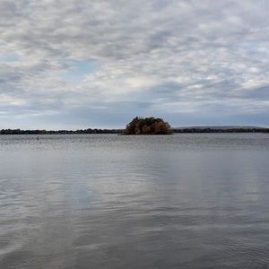 Meet your Posher, Dario